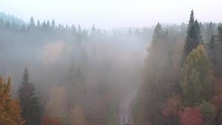 Relaxing Music & Soft Rain: Sleep Music, Calm Piano Music, Healing Music, Peaceful Music screenshot 2
