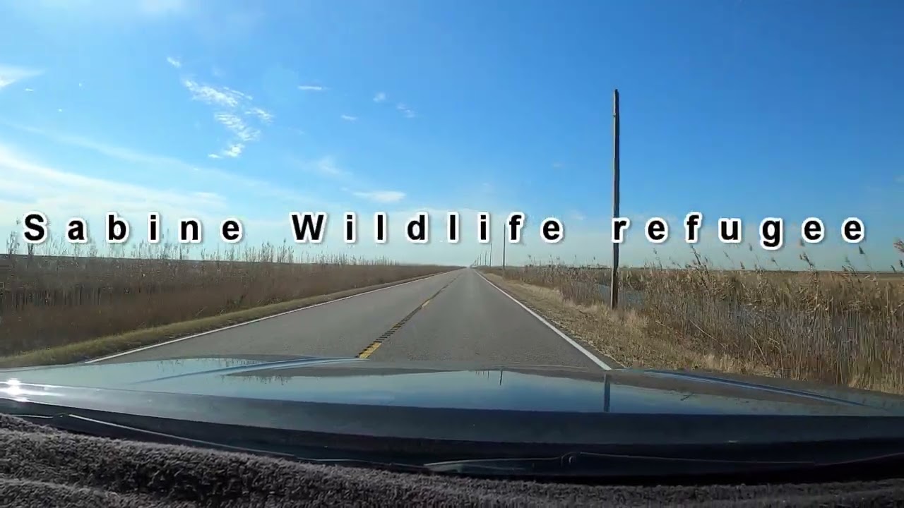 Drive through Sabine National Wildlife Refuge Hwy 27