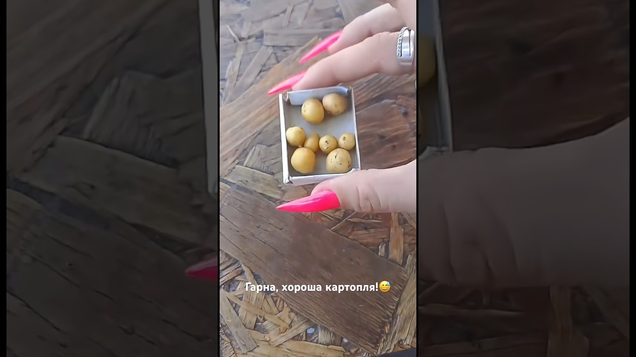 Гарна, хороша картопля!😅 