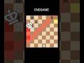 Endgame Secret ⚔️ The Queen is 1 point Less Than 2 Rooks🗼 Sacrifice Mate -6 #shorts #chess #endgame