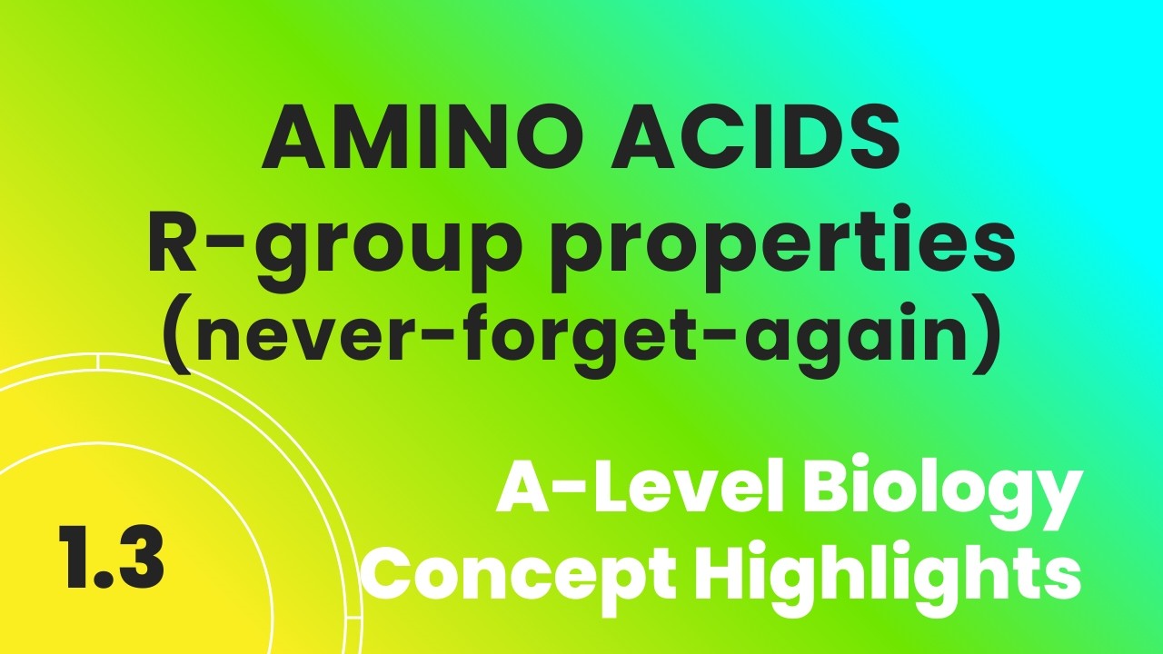 1.303 R-группы и свойства аминокислот #биомолекулы