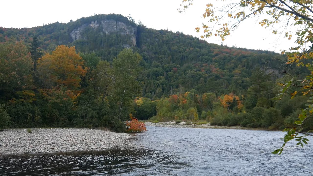 Mighty Lake Superior Coho's in the Backcountry | Catch & Cook