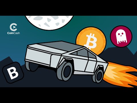 CoinCash Weekly bitcoin hírösszefoglaló - 6. hét