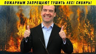 МЕДВЕДЕВ ЛИЧНО ПРИЧАСТЕН К ЗАПРЕТУ ТУШИТЬ СИБИРЬ!? ДАВЫДЕНКО ЛЕС ПОЖАР МЕДВЕДЕВ ЛИЧНО ПРИЧАСТЕН К ЗАПРЕТУ ТУШИТЬ СИБИРЬ!? ДАВЫДЕНКО ЛЕС ПОЖАР
