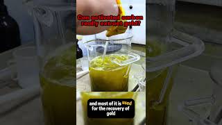 Full Can activated carbon really extract gold #gold #activatedcarbon #activatedcharcoal #goldmine #mine Guide