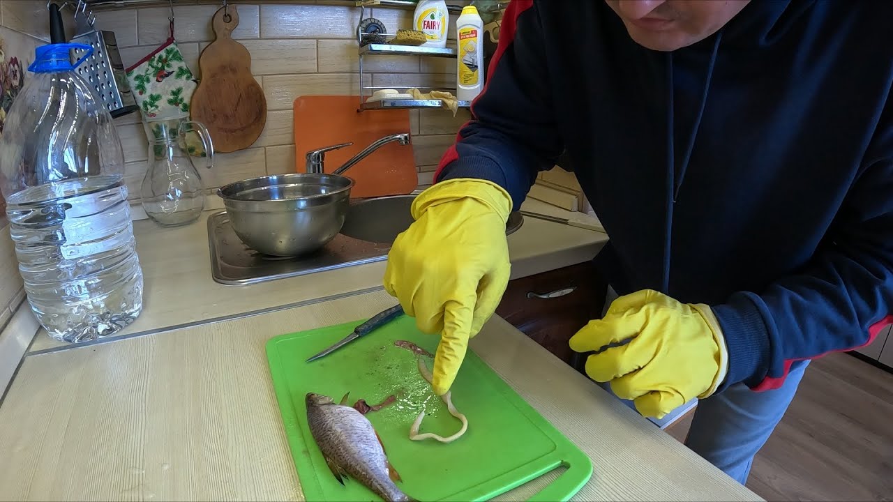 Это было в рыбе, ходил на рыбалку на Обь.