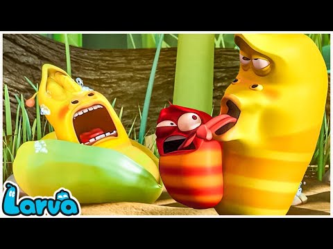 #1 LARVA COVIT – 29  – Larva Cartoons 2022 | Full Episode Compilation 🍟 Stop Motion Animation Cartoon Mới Nhất