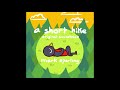 Somewhere In The Woods (Solo Piano arrangement by Pablo Enver) - should I commission more of these??