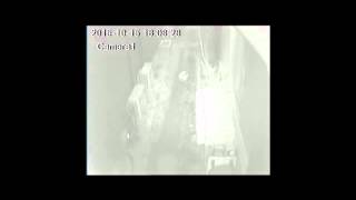 糞害 猫ちゃん現場画像 対策はどうしたらいいでしょうか？どなたか教えて下さい。