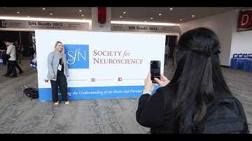 Neuroscience 2025 Highlights