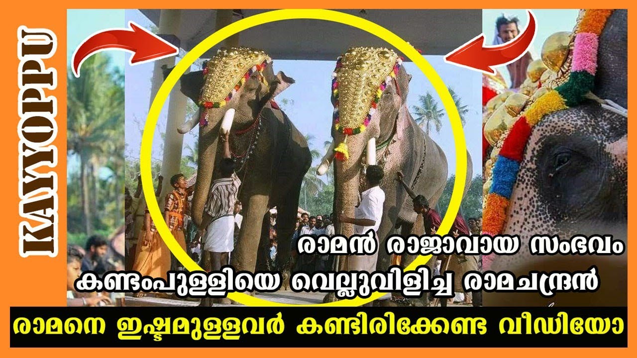 കണ്ടംപുള്ളിയെ വെല്ലുവിളിച്ചു രാമചന്ദ്രൻ ഒപ്പം കർണ്ണനും | balanarayanan vs ramachandran | karnan