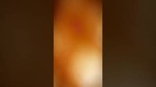 Oyumuzu Kullandık Ak Parti Recep Tayyip Erdoğan