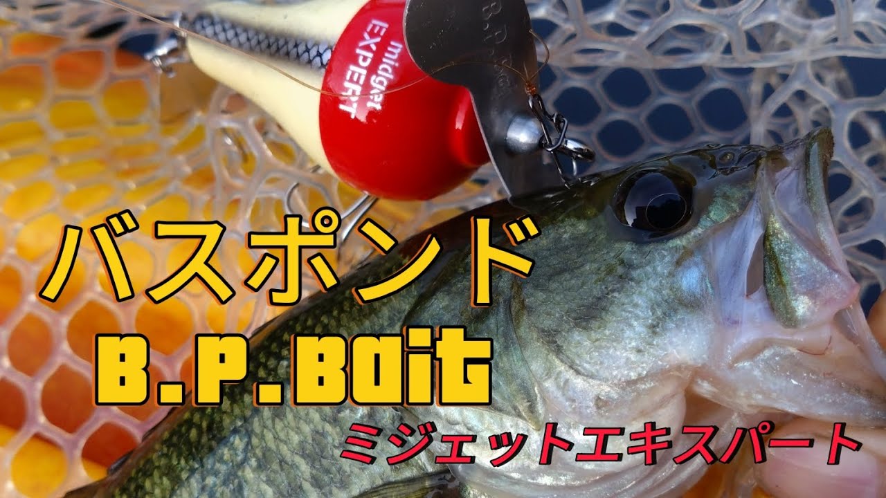 バスポンド ミジェットエキスパート - YouTube