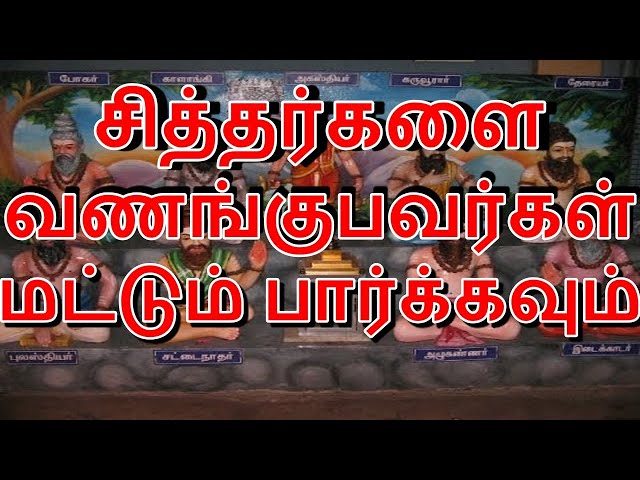 சித்தர்களை வணங்குபவர்கள் மட்டும் பார்க்கவும் | aanmeegam in tamil | Om | siththarkal ragasiyam class=