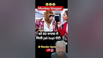 #ai monkey vlog#monkey video editing #how to making ai video#monkey vlogger flight