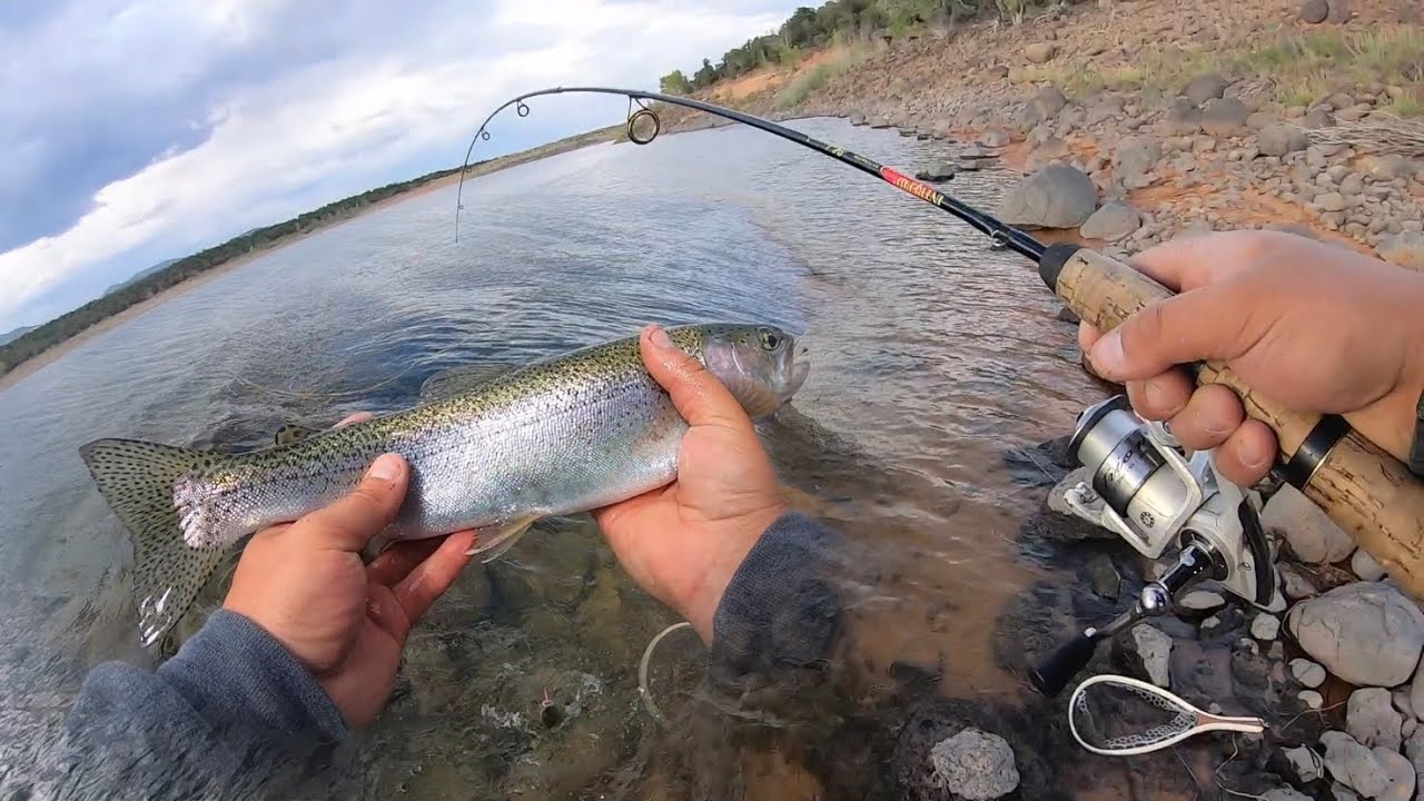 Throwing Big Spoons for AGGRESSIVE Trout!! - YouTube