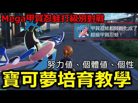 級別對戰的寶可夢培育教學！個體值、努力值、性格全部都要練！用Mega甲賀忍蛙打級別對戰A級場！《寶可夢傳說 Z-A》