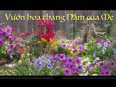 Video: Vườn Hoa Tháng Năm