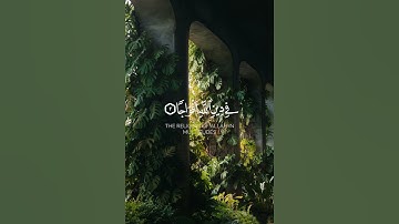 سورة النصر ☝️
