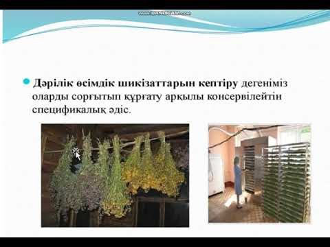 Бейне: Дәрілік өсімдіктерді жинау ережелері