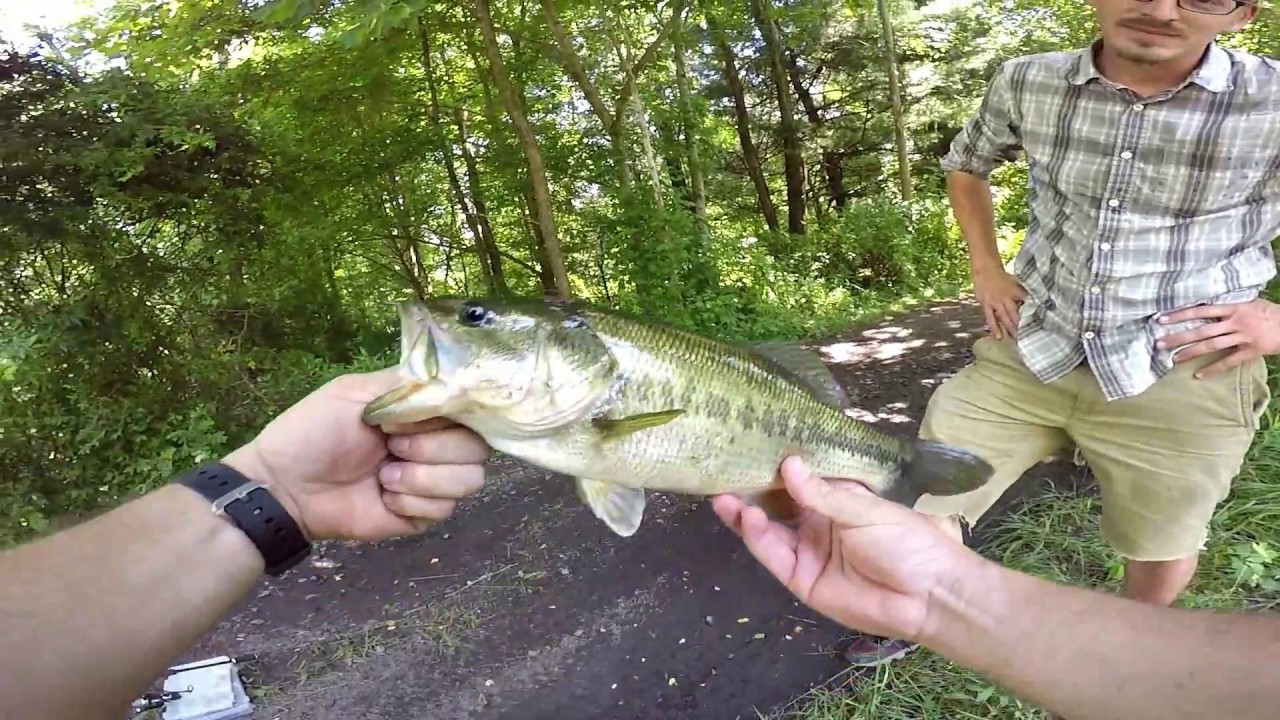 BOULDERING for BRONZEBACKS ep2 Largemouth Bass Fishing POND CHEAT RIVER smallmouth bass fishing lure