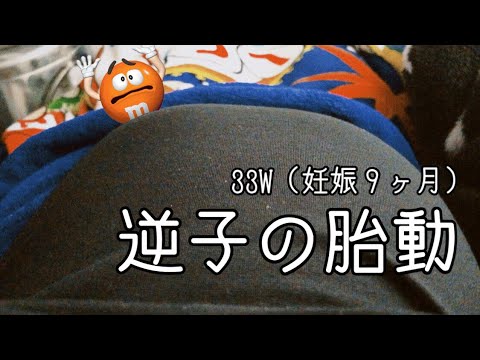 33w(妊娠9ヶ月)で逆子に！胎動記録/妊娠後期