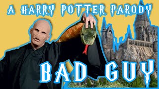 Bad Guy | A Harry Potter Parody Music Video