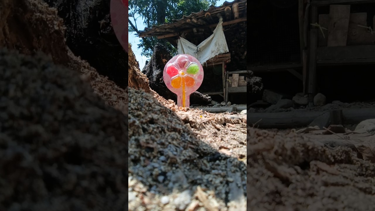 find delicious candy snacks like pinwheels 