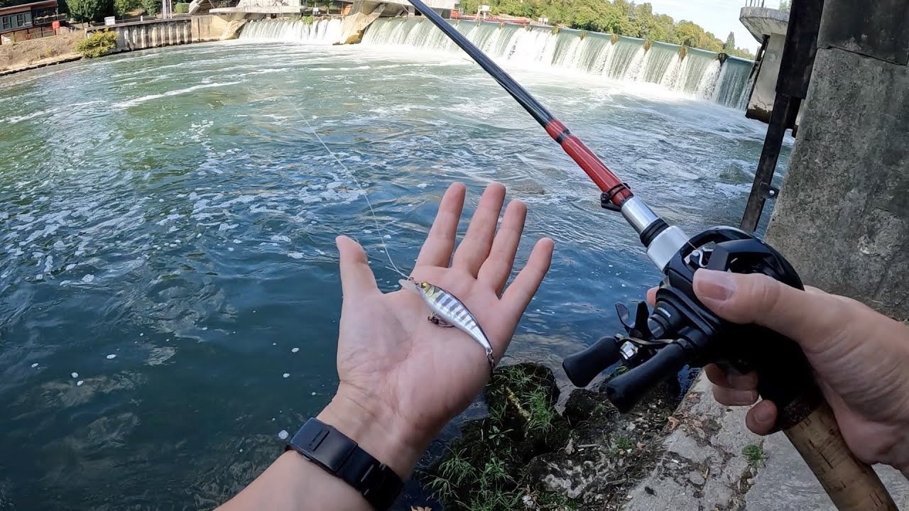 久しぶりのセーヌ川のポイントにザンダーを狙いに来たんだが、、、