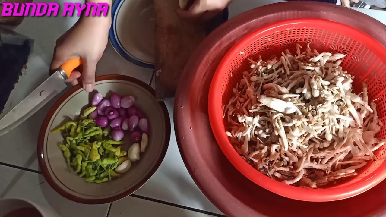 Resep dan cara memasak jamur Oseng jamur dami , tumis jamur merang