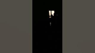 TITANIC FROG HAppy & unniversary 1th