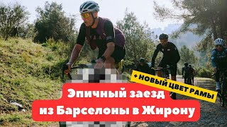 :   ENVE MOG,        , 