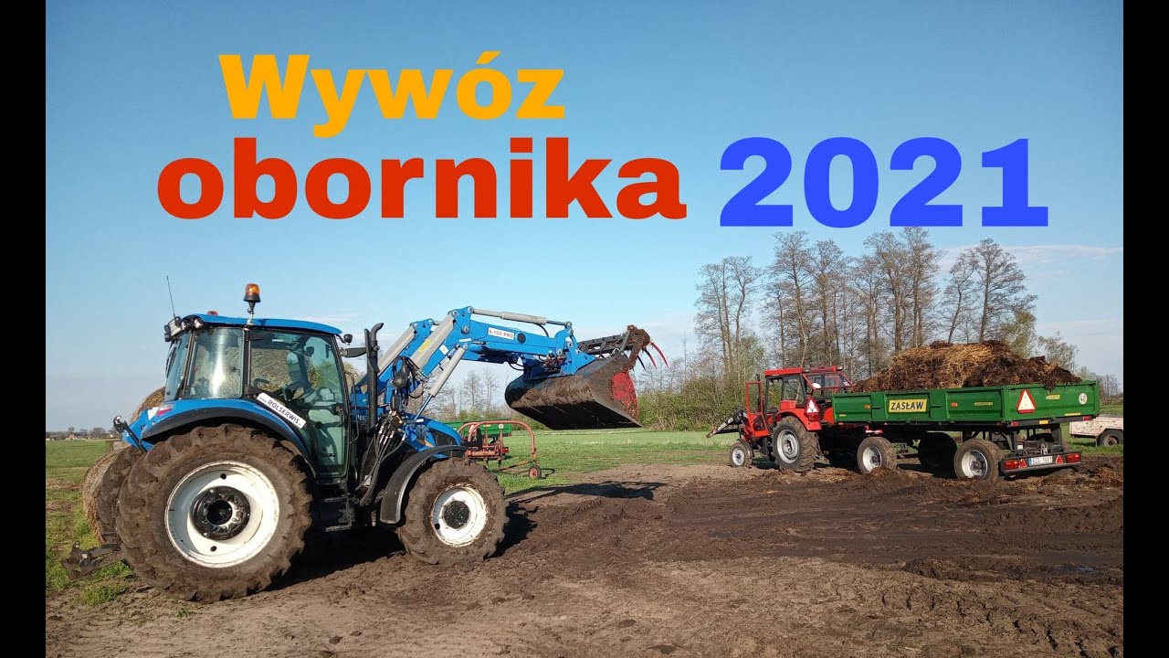 Wywóz obornika 2021/New holland t5.105/Ursus c360/D732