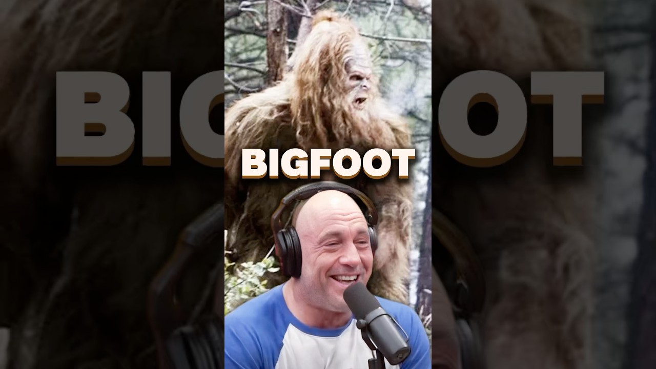 Joe Rogan laugs at BIGFOOT EXISTING !