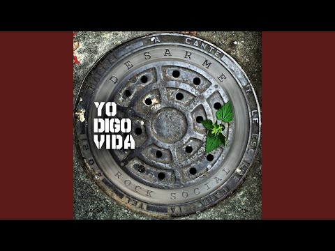 Desarme — Gran Hermano