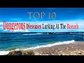 Top 10 Dangerous Diseases Lurking At The Beach