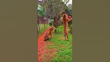 Give this video a title wrong answers only part 4