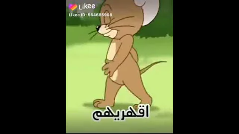بسينه المشاقبه 