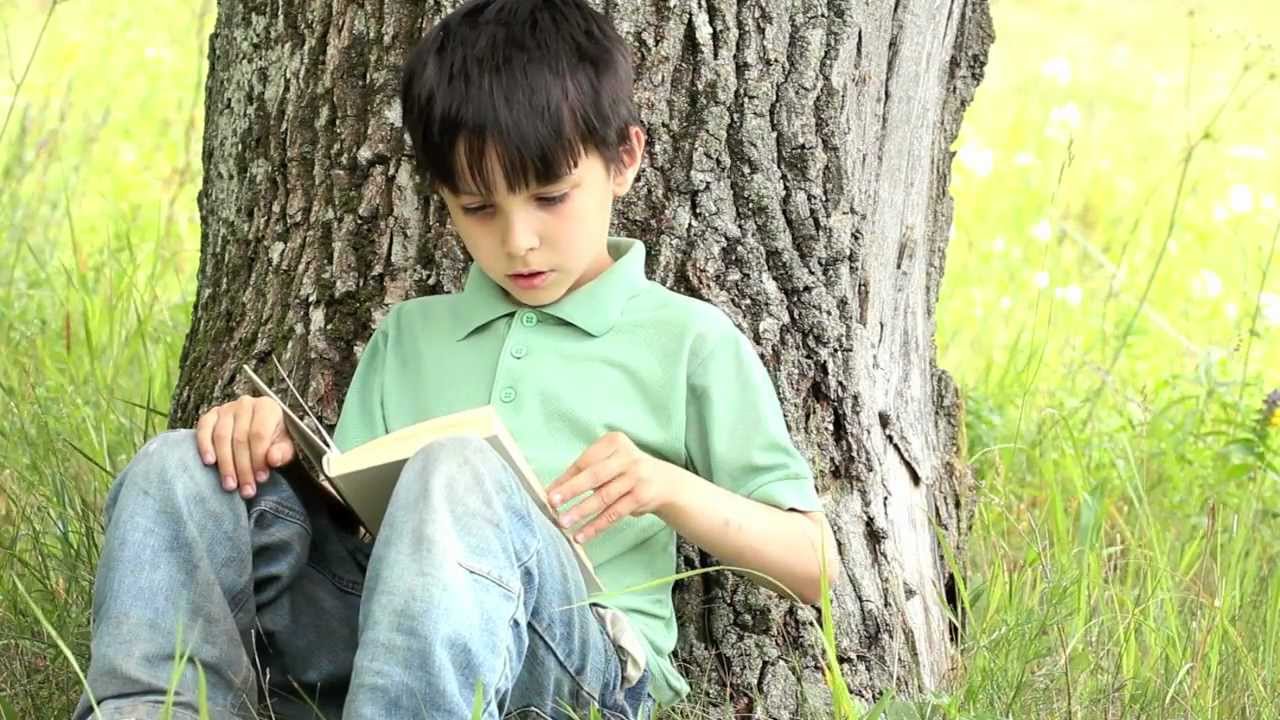 Чтение ис. Мальчик читает книгу. Мальчик читает книгу в лесу. Одиночный мальчик. The boy is reading a book.