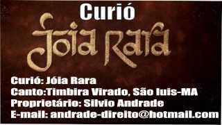 Curió Joia Rara