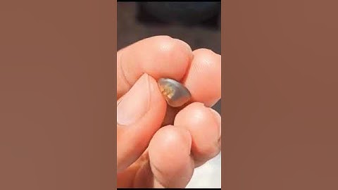 Cats Eye or Cymophane