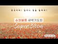 6/12 슈퍼블룸 : 성전건축과 예표의 사람들 - 박영수 송인주