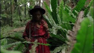 7708919 hd 1920 1080 25fps