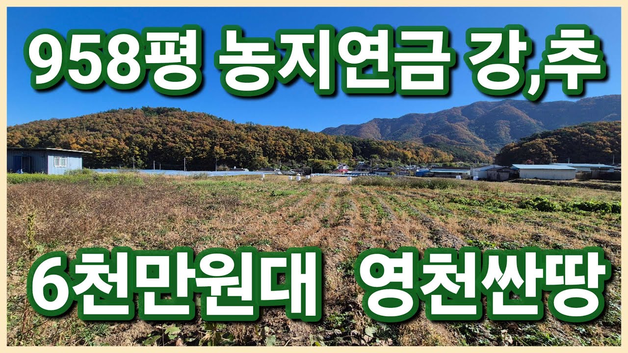 [변경]영천시 북안면 상리 6천만원대 958평 농지연금으로 멋진 법원경매 진행중인 영천땅 영천농지 가져가세요