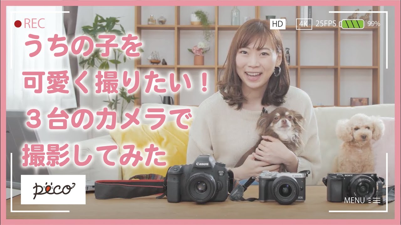 うちの子を可愛く撮れるのはどれ 一眼レフカメラを比較してみた Youtube うちの子を可愛く撮れるのはどれ 一眼レフカメラを比較してみた Youtube