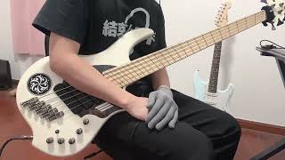 Plini-cascade bass cover