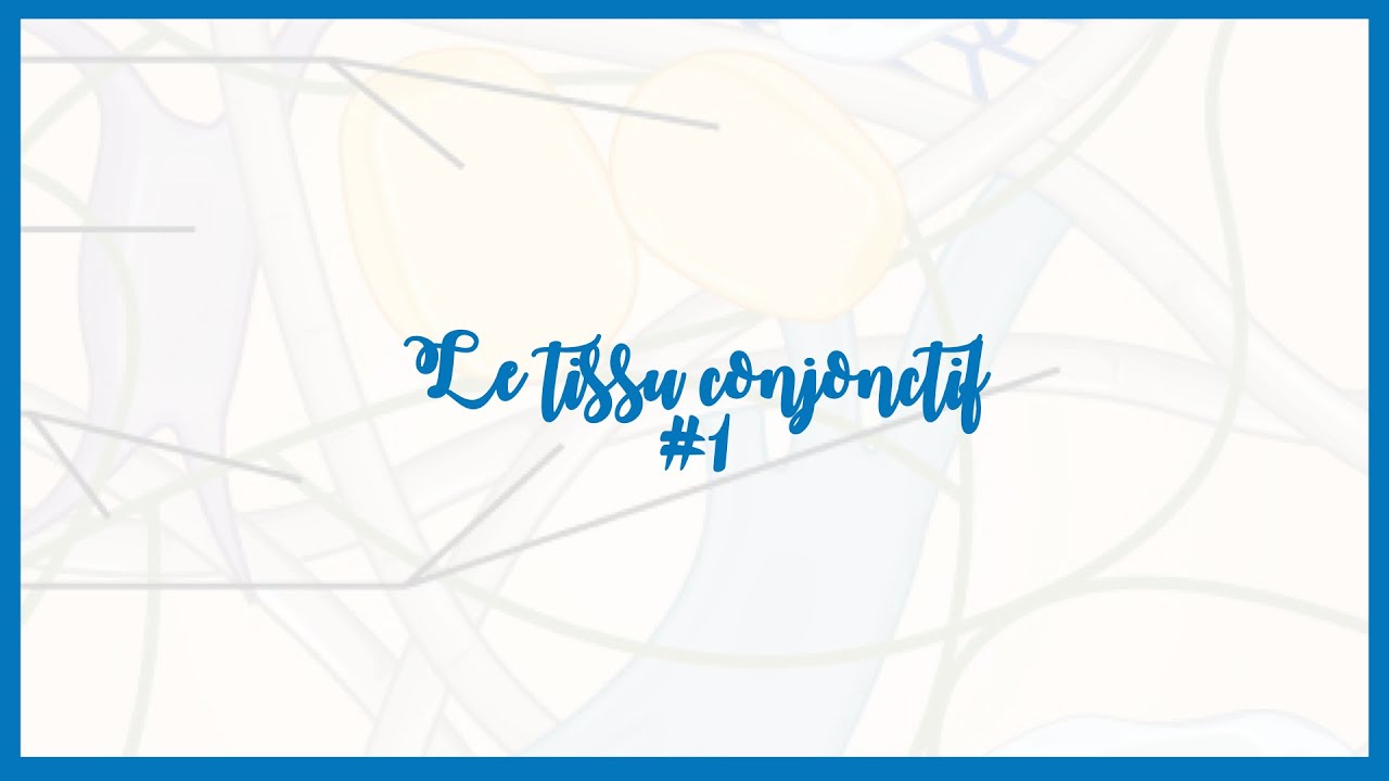 Les Tissus: Tissu conjonctif #1 -Histologie