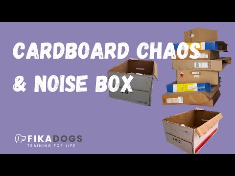 Cardboard Chaos and Noise Box