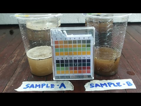 Video: Paano I-neutralize Ang Acidity Ng Lupa