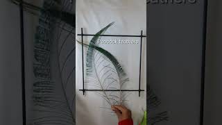 Simple and Beautiful Wall hanger making with Peacock feathers | Handi crafts By Hanan | #shorts screenshot 4